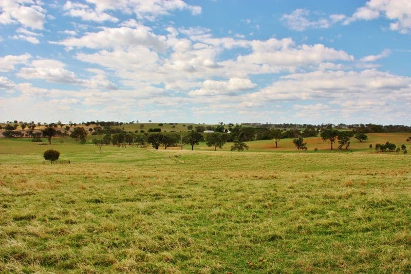Lot 16 Golden Grove Road, YOUNG NSW 2594, Young - Thumbnail 3