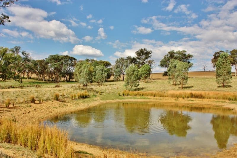Lot 16 Golden Grove Road, YOUNG NSW 2594, Young - Thumbnail 5