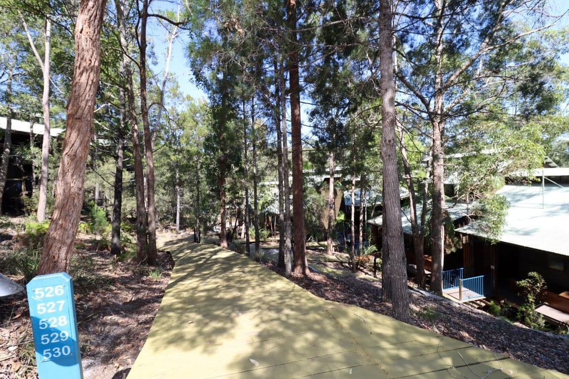 Banksia 527 Kingfisher Bay Resort, Fraser Island QLD 4581, Fraser Island - Thumbnail 2