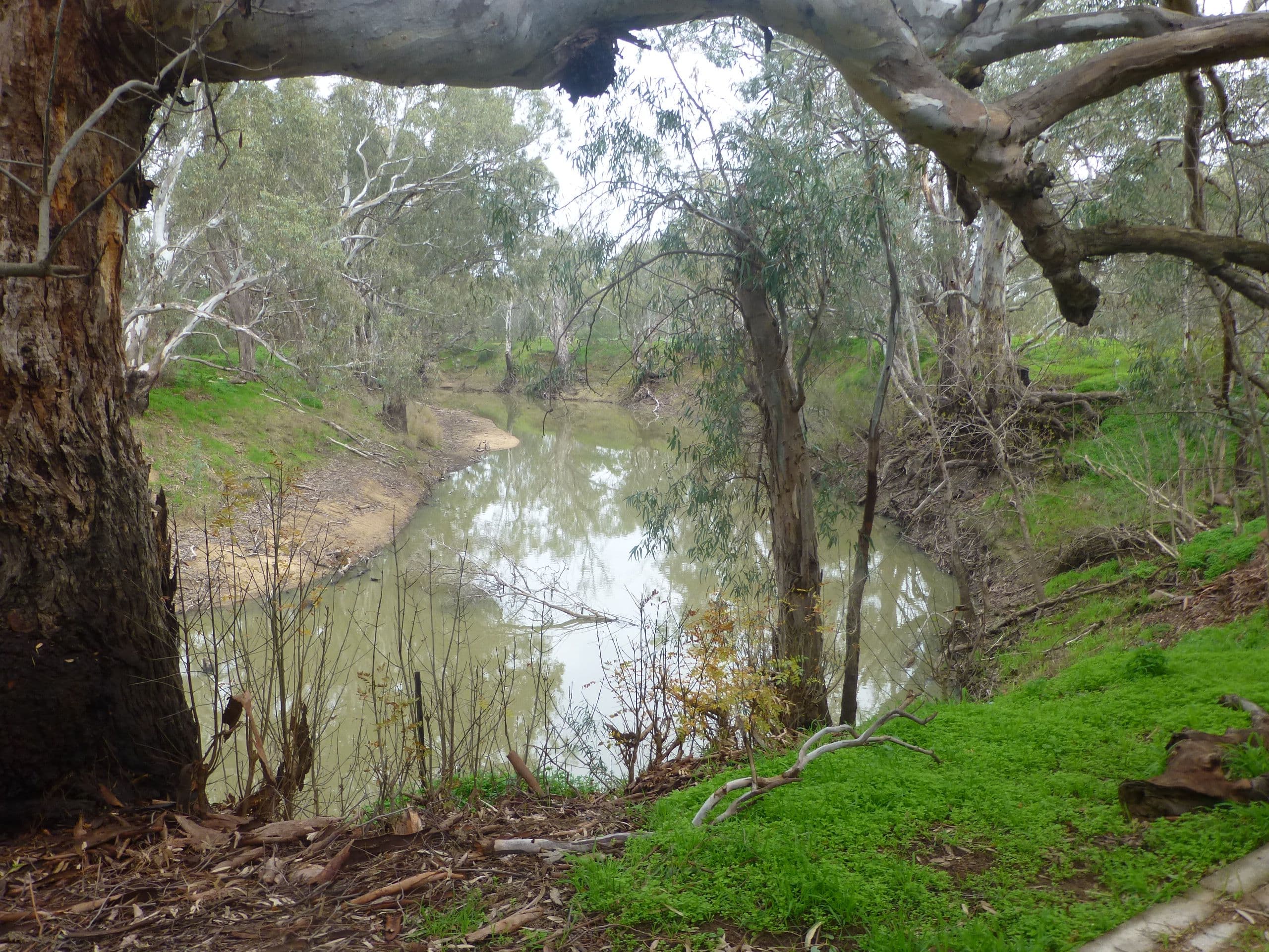 64 Simmie Street, Echuca VIC 3564, Echuca - Thumbnail 6