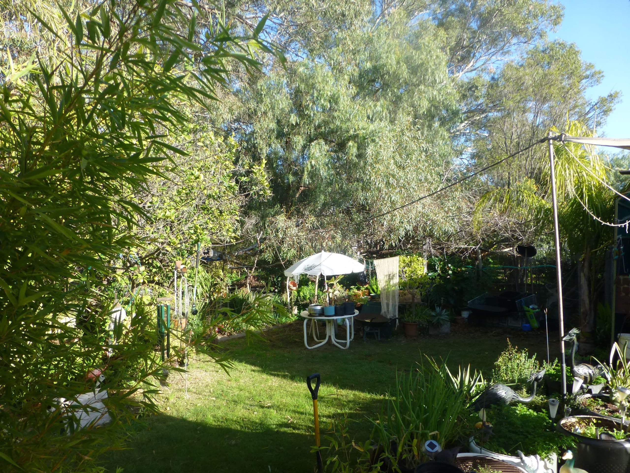 64 Simmie Street, Echuca VIC 3564, Echuca - Thumbnail 7