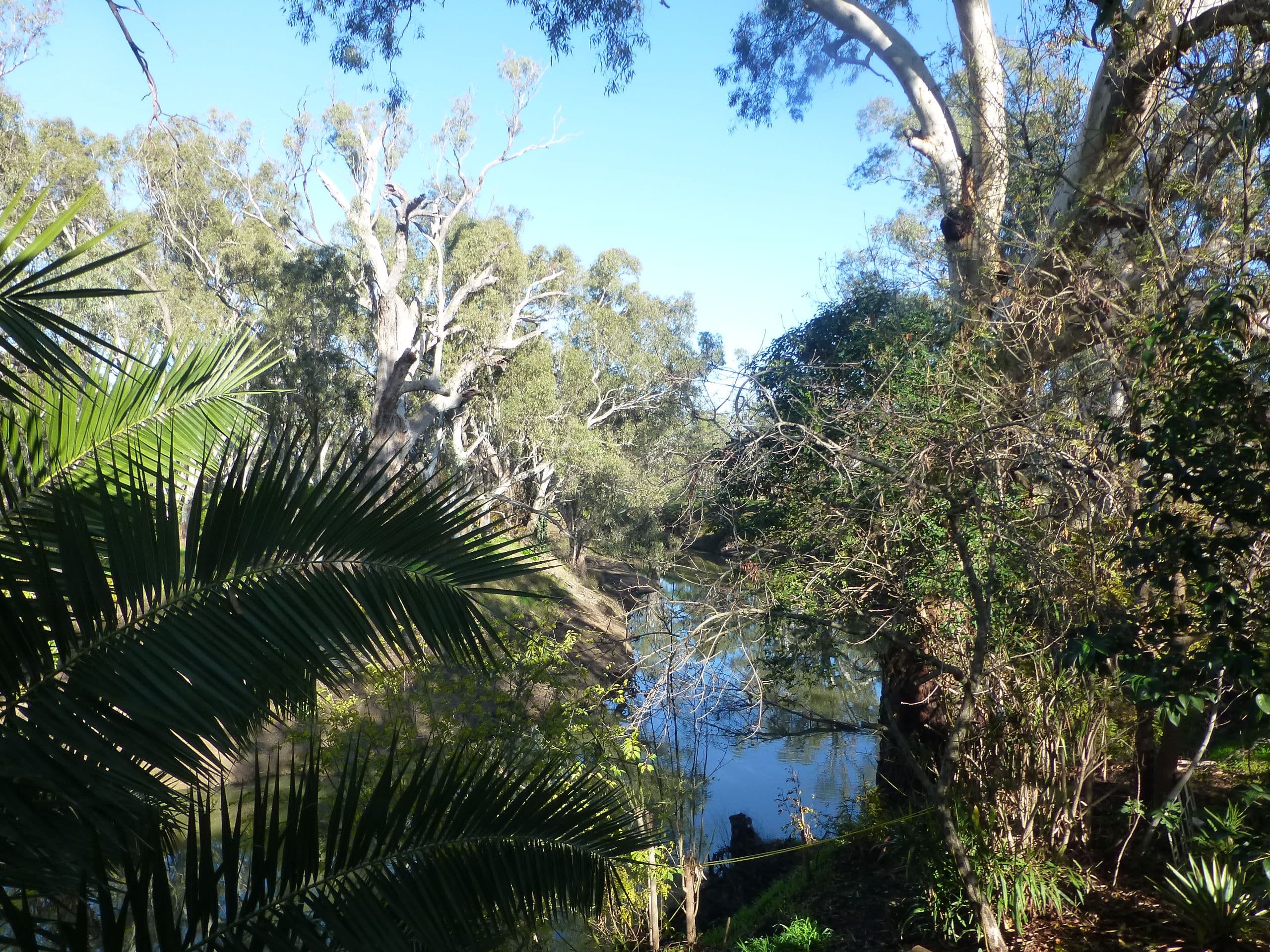 64 Simmie Street, Echuca VIC 3564, Echuca - Thumbnail 8