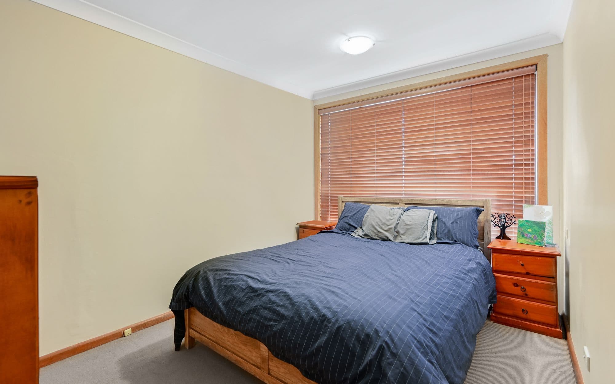 16 Gargery Street, Ambarvale NSW 2560, Ambarvale - Thumbnail 8
