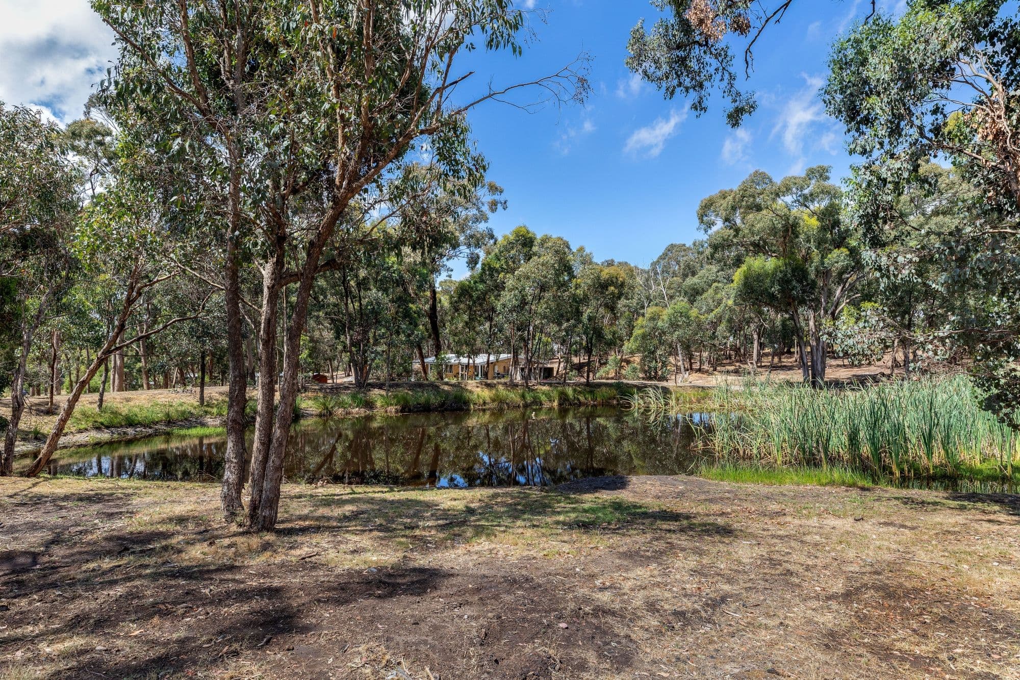 2 Williams Drive, Taradale VIC 3447, Taradale - Thumbnail 5