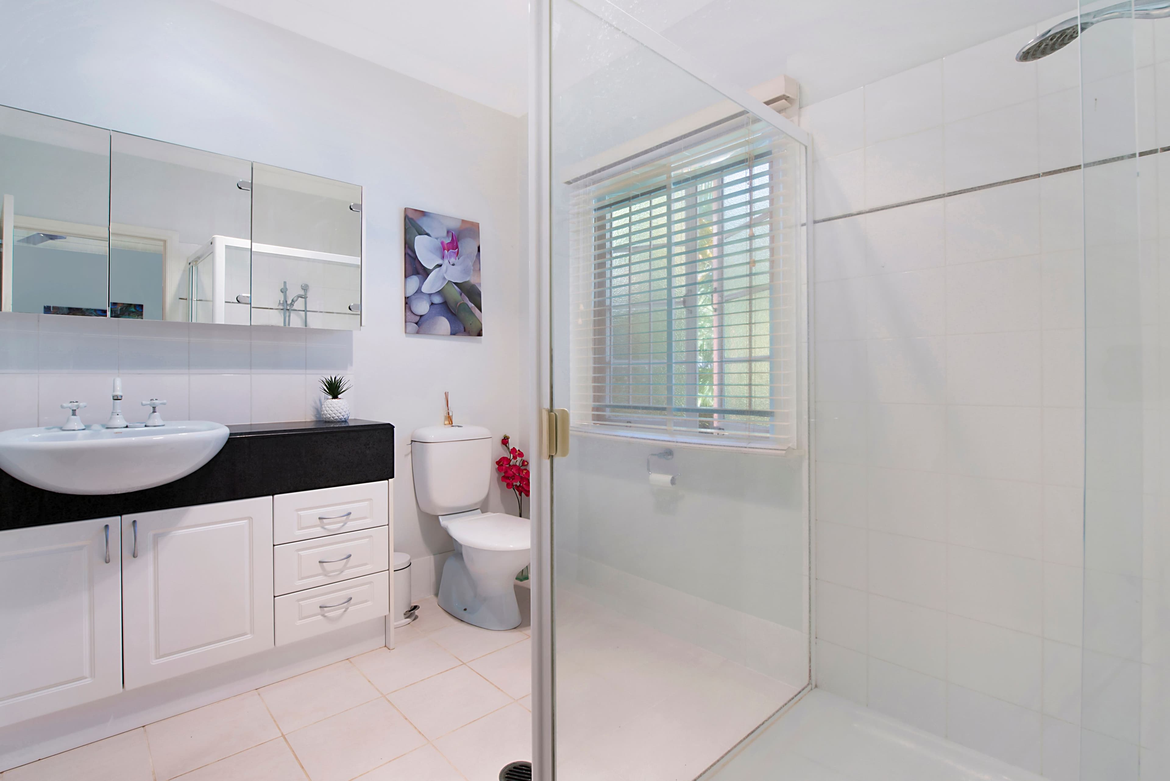33 Booligal Street, Carina QLD 4152, Carina - Thumbnail 5