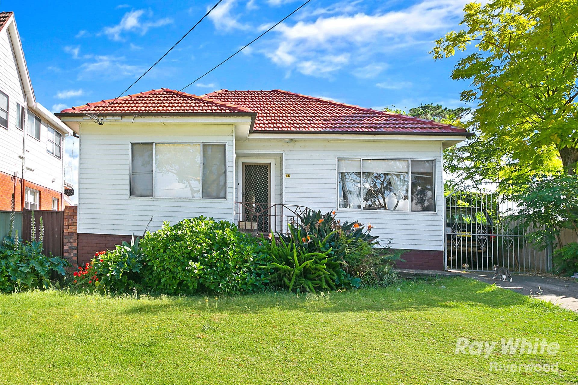 46 Cairns Street, Riverwood - Image 1