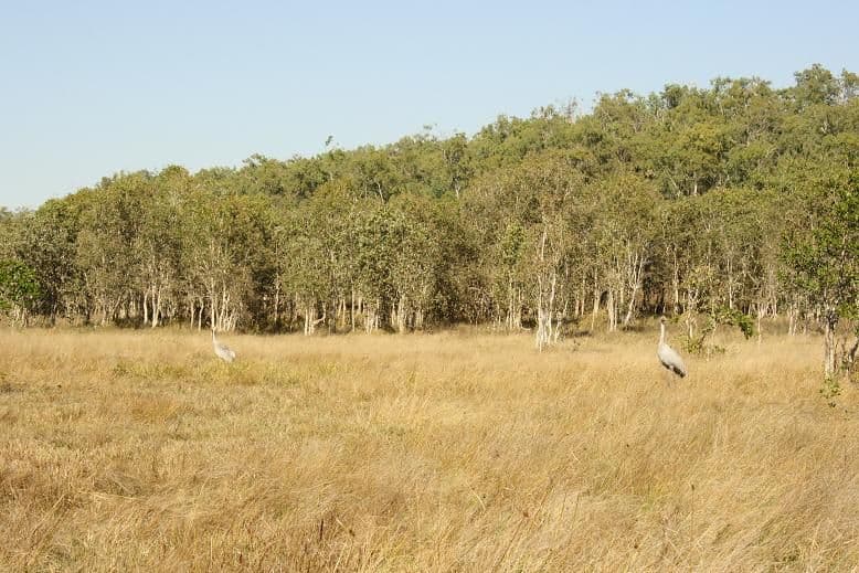 SARINA QLD 4737, Sarina - Image 1