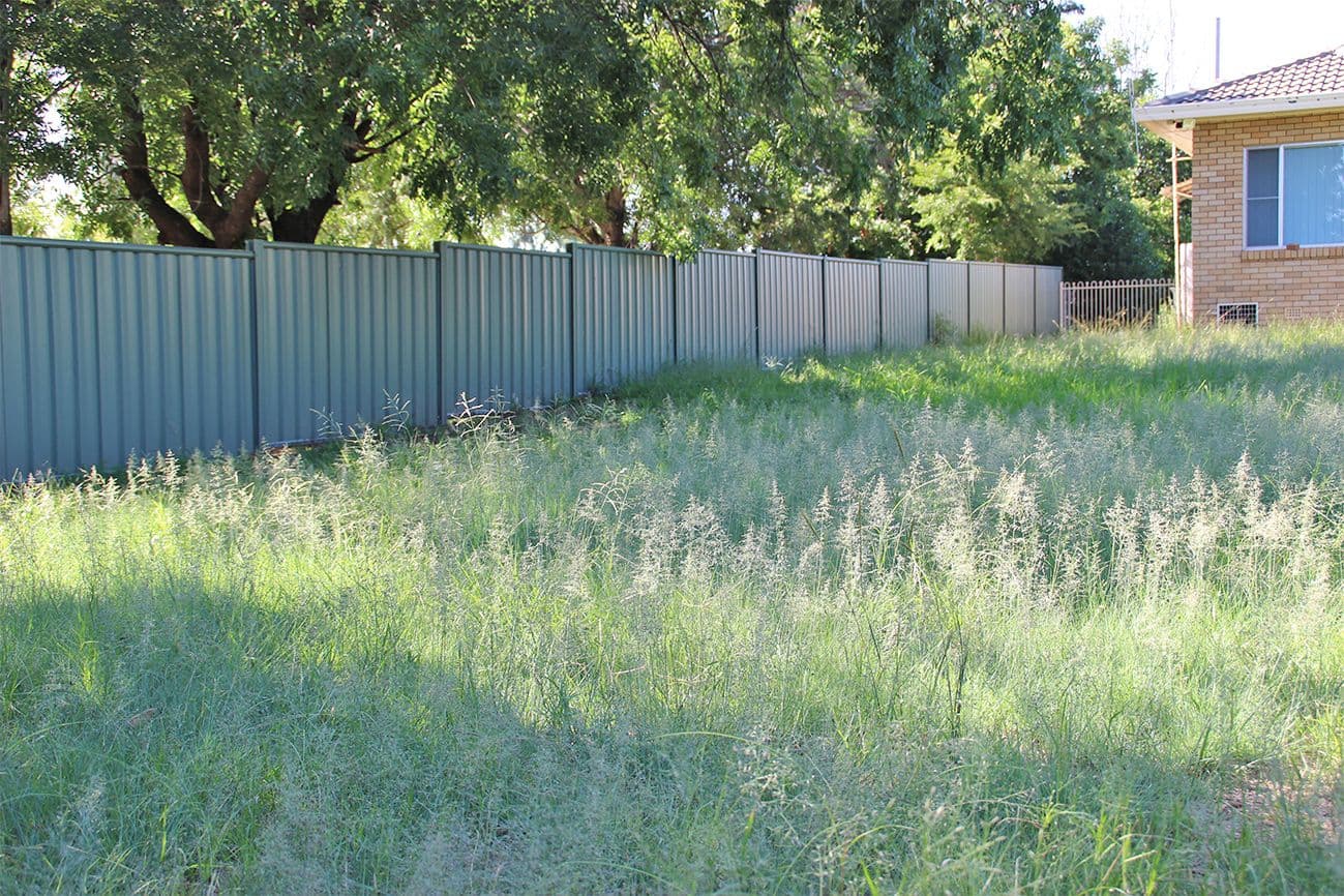 17 CASSILIS Street, Coonabarabran NSW 2357, Coonabarabran - Thumbnail 8