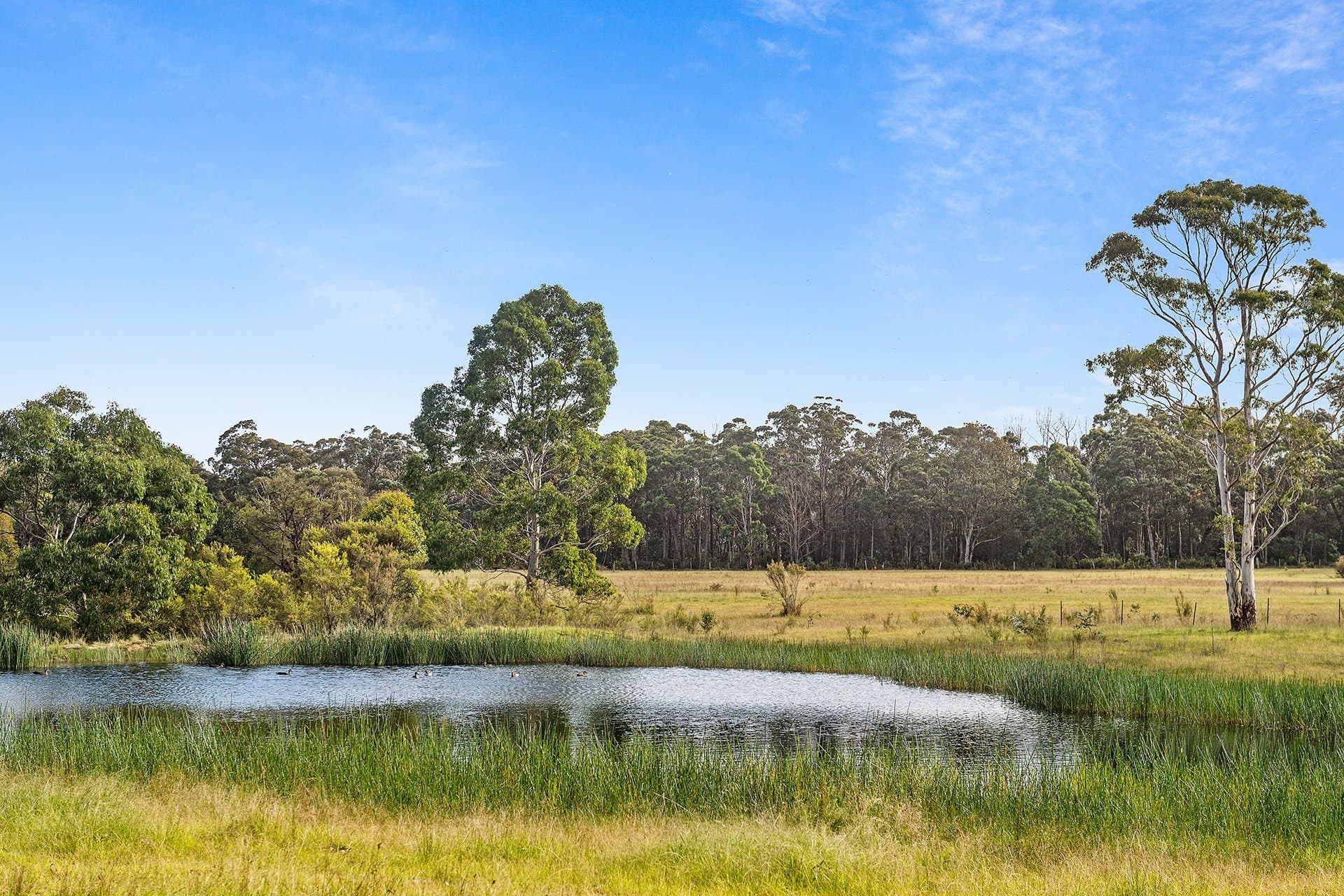 2209 Wombeyan Caves Road, High Range - Thumbnail 3