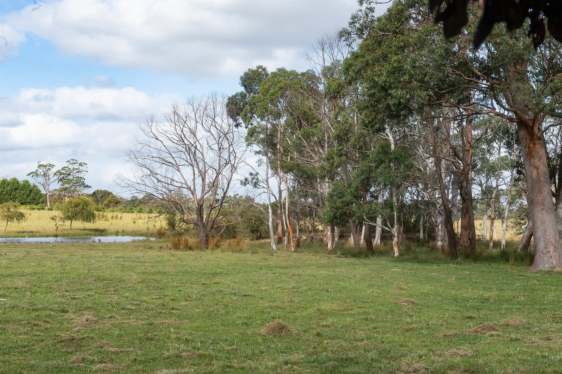 2209 Wombeyan Caves Road, High Range - Thumbnail 4