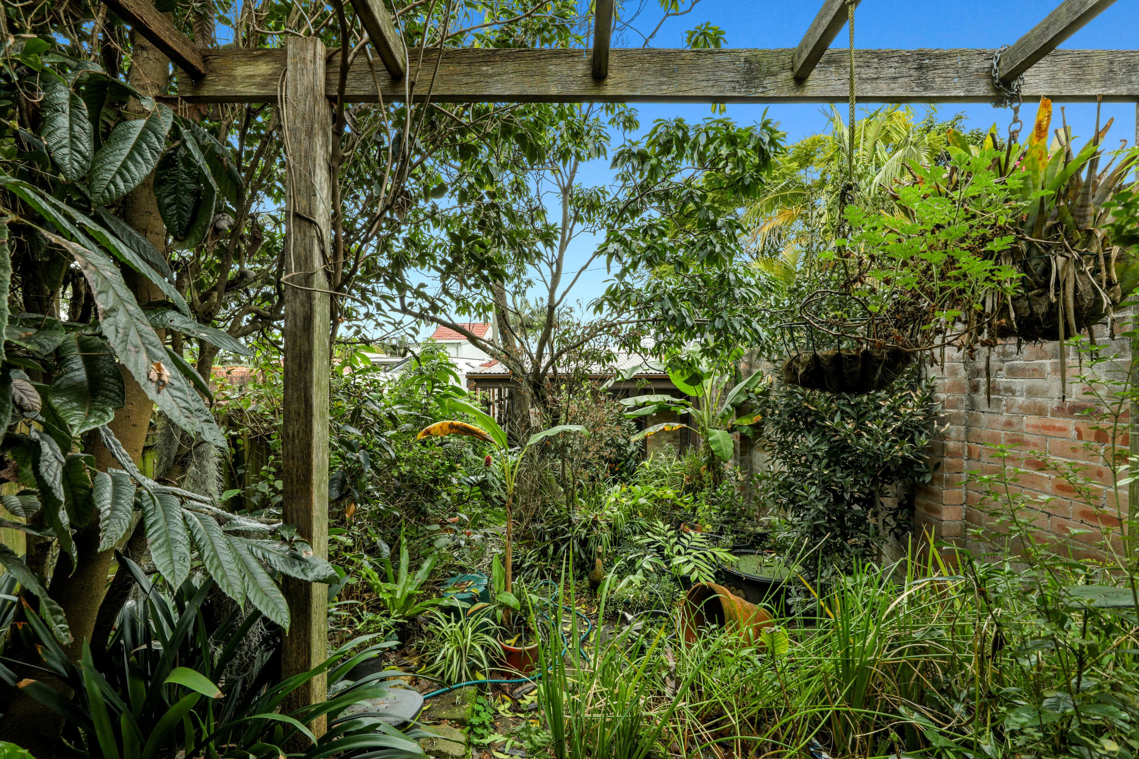 184 Union Street, Erskineville NSW 2043, Erskineville - Thumbnail 5