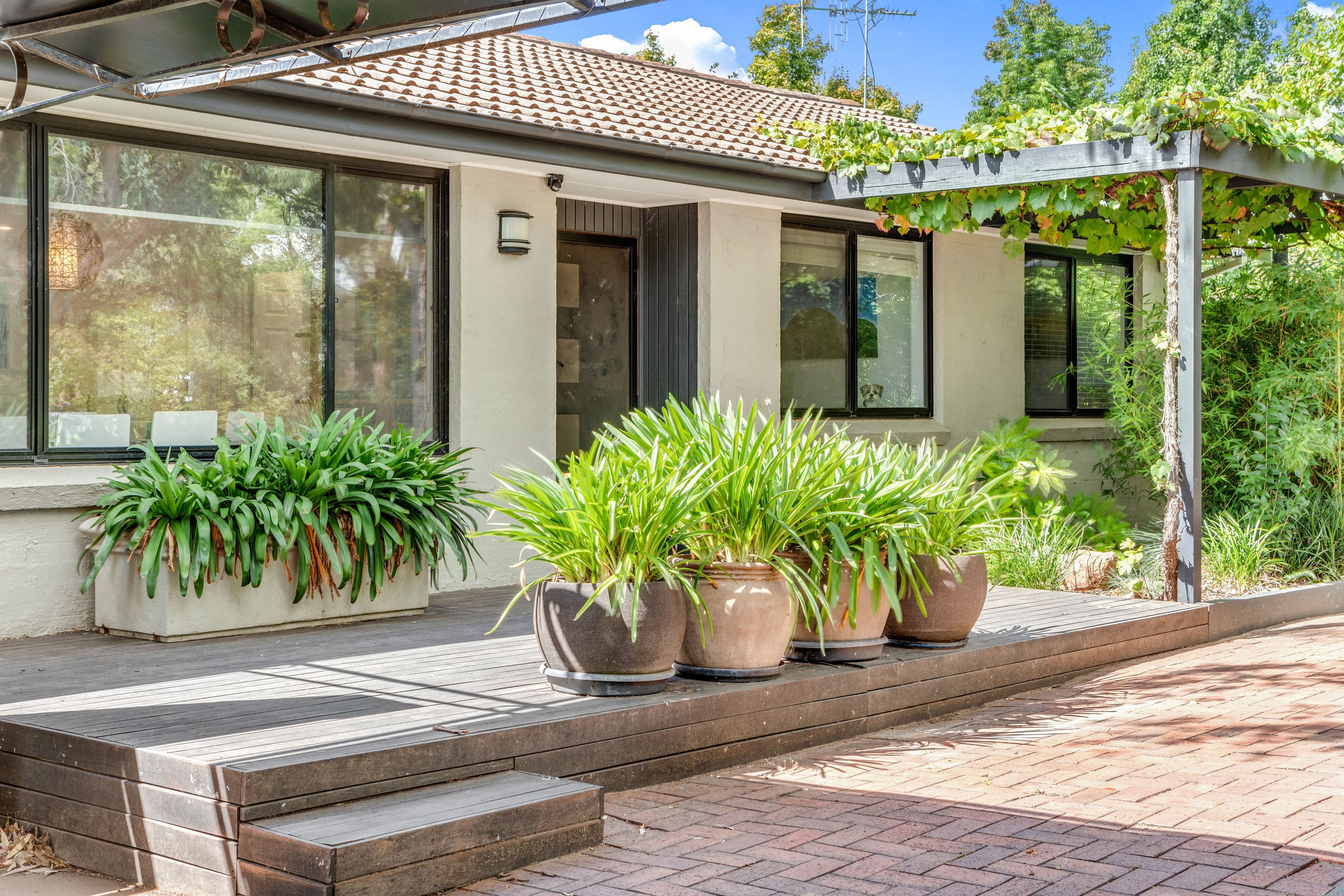 5 Gibbes Place, Weetangera ACT 2614, Weetangera - Thumbnail 2