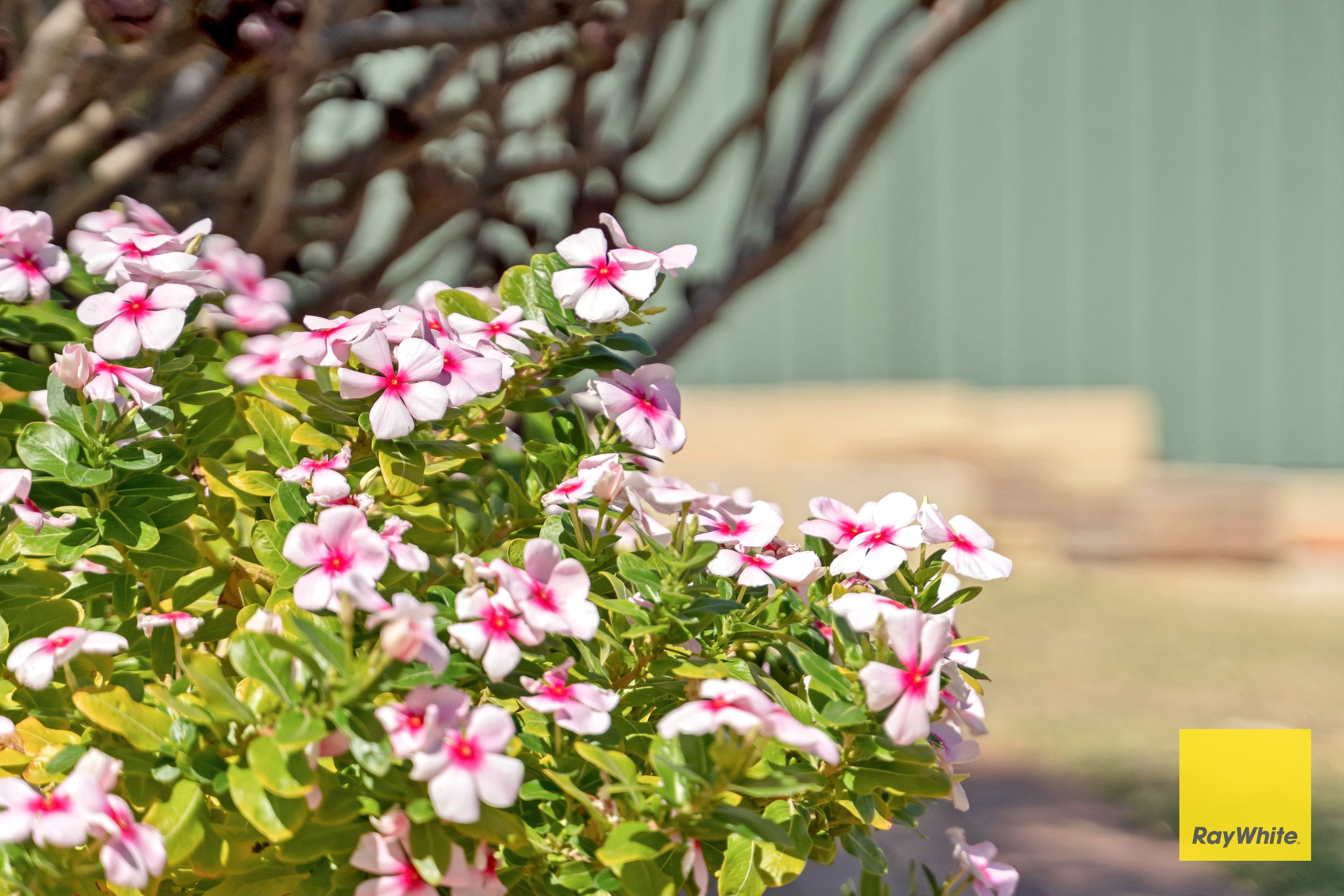 11 Rowe Place, Midland WA 6056, Midland - Thumbnail 7