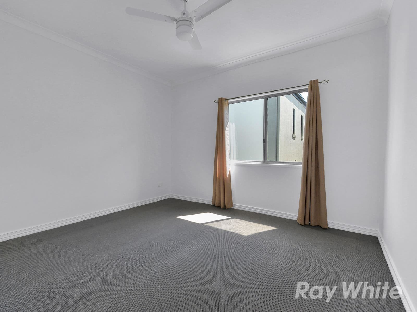 11 Hammond Street, Red Hill QLD 4059, Red Hill - Thumbnail 6