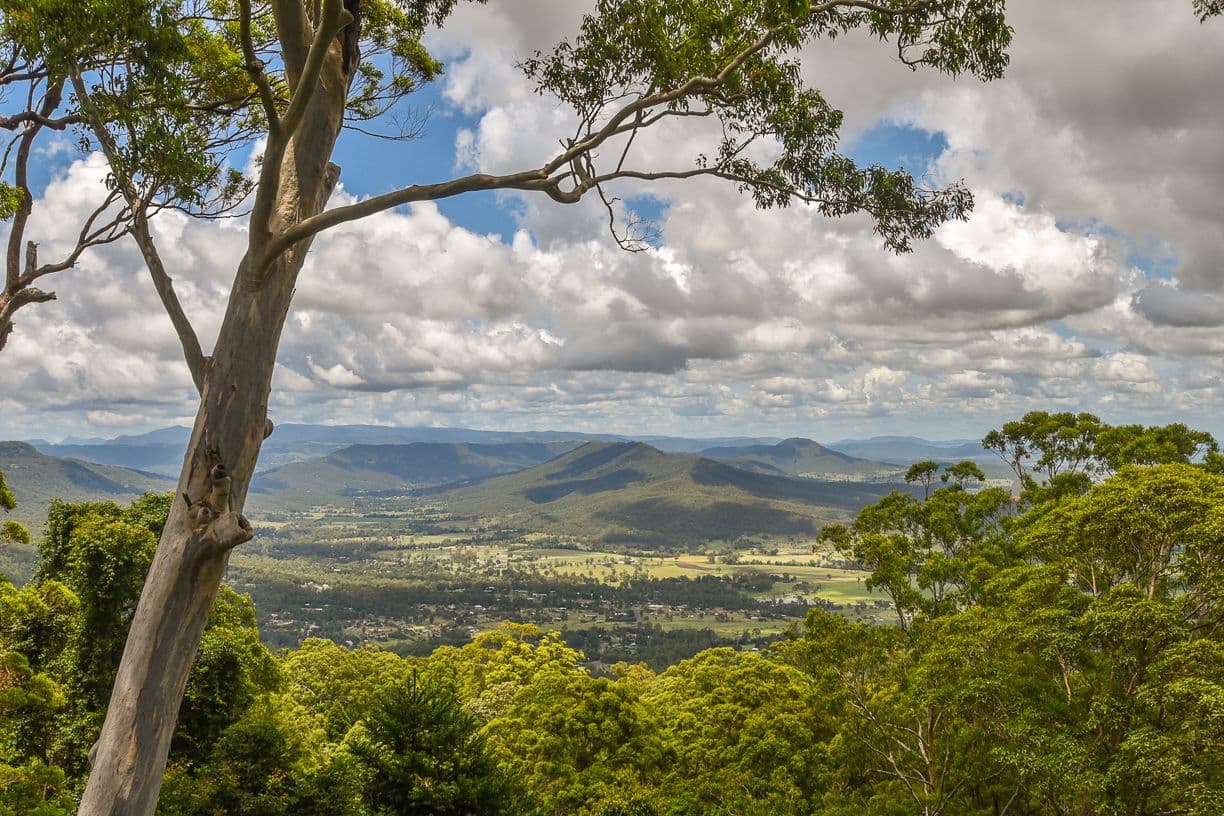 246 Beacon Road, Tamborine Mountain QLD 4272, Tamborine Mountain - Thumbnail 3