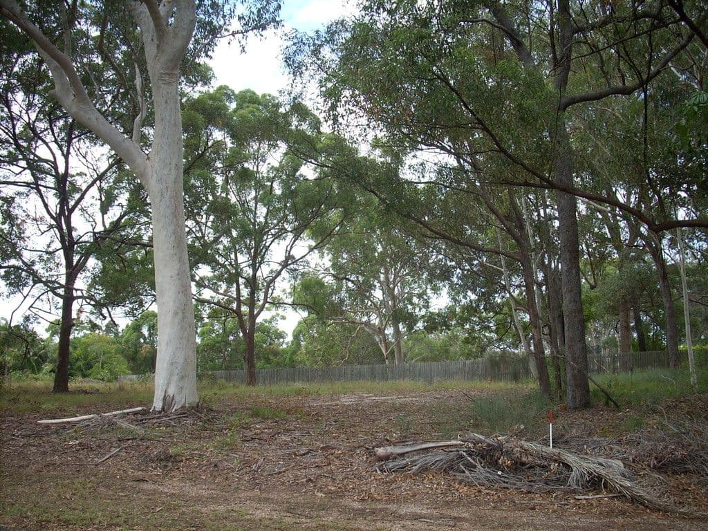 38 Guthrie Street, Russell Island QLD 4184, Russell Island - Thumbnail 3