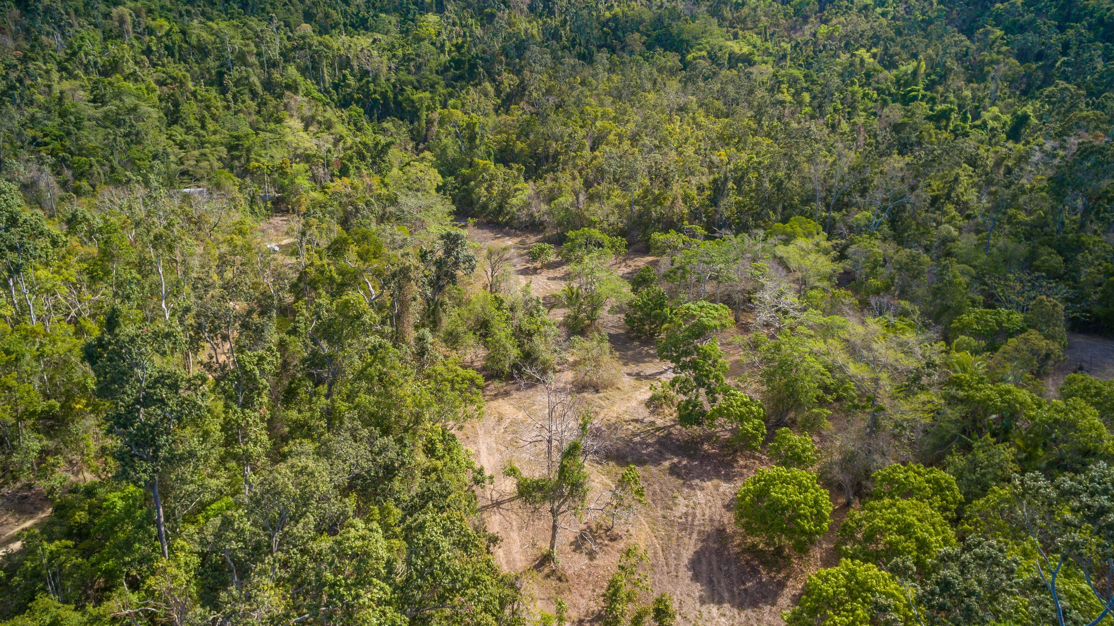 22 Timberland Road, Jubilee Pocket QLD 4802, Jubilee Pocket - Thumbnail 6