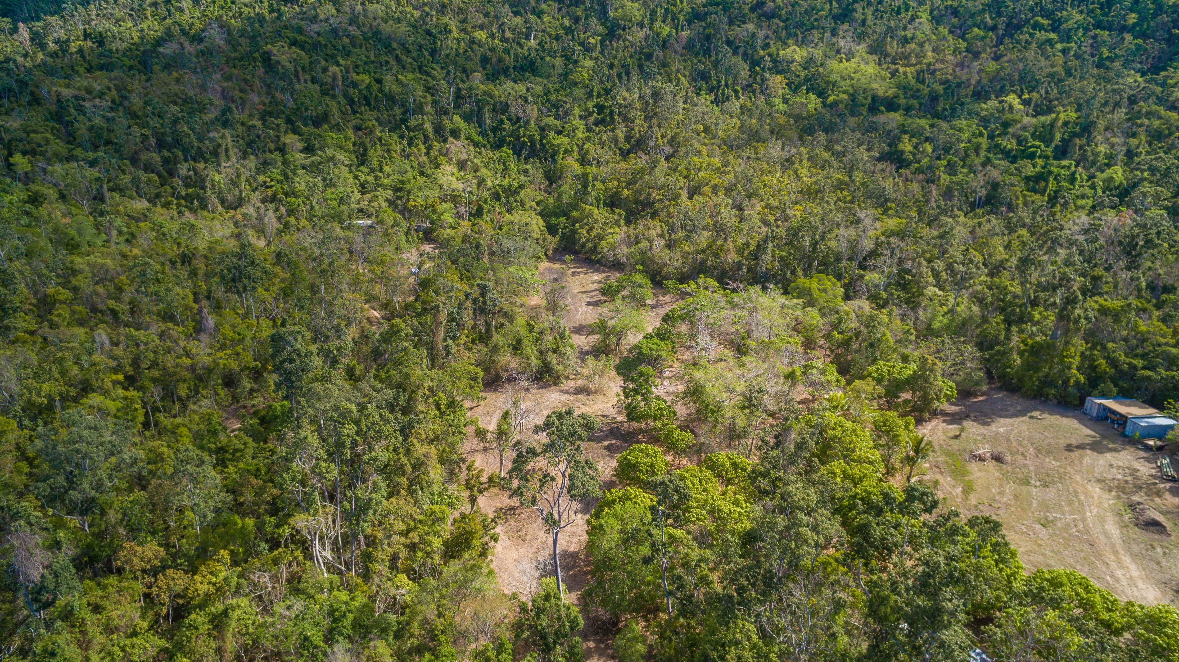 22 Timberland Road, Jubilee Pocket QLD 4802, Jubilee Pocket - Thumbnail 7