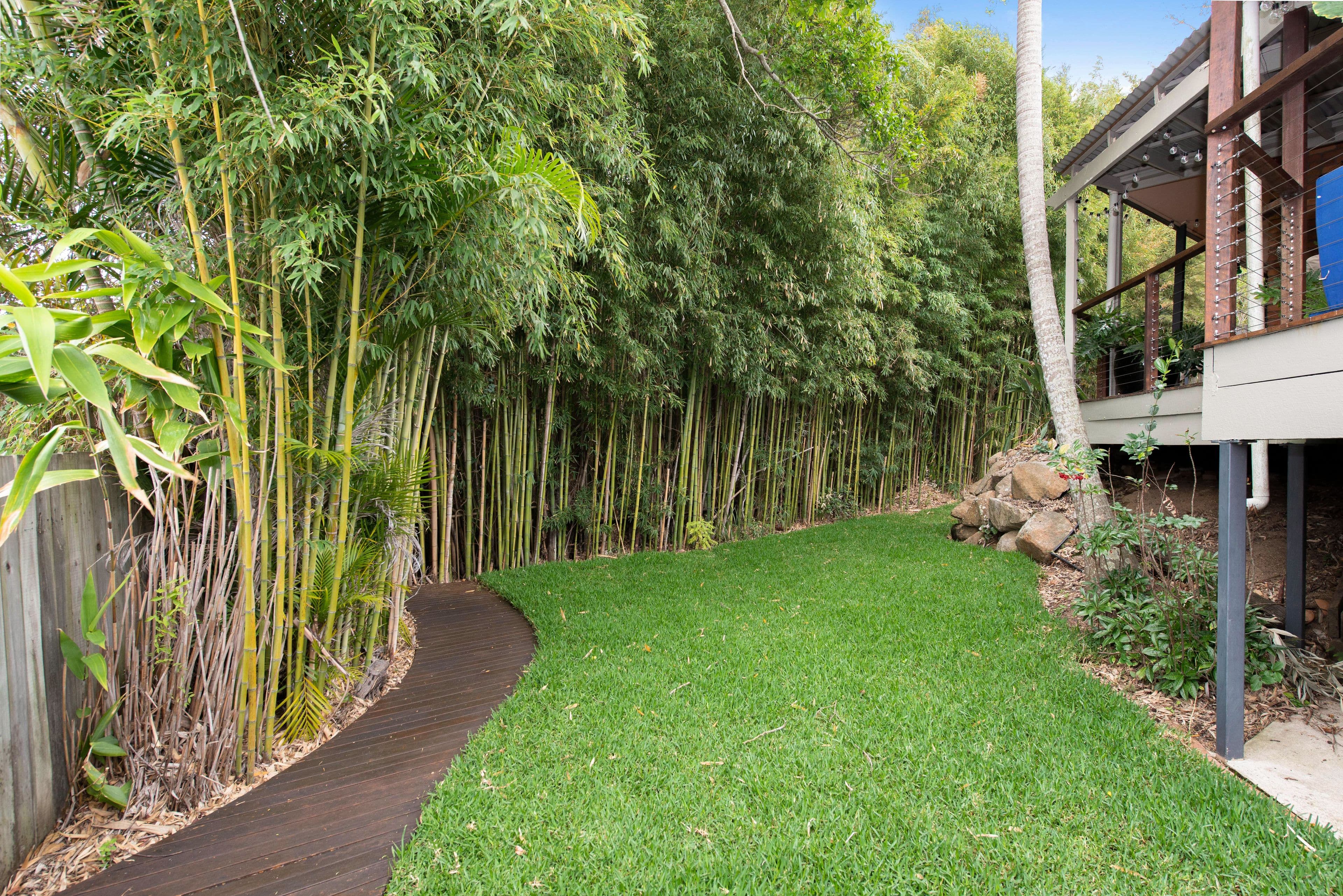 16 Walsall Street, The Gap QLD 4061, The Gap - Thumbnail 5