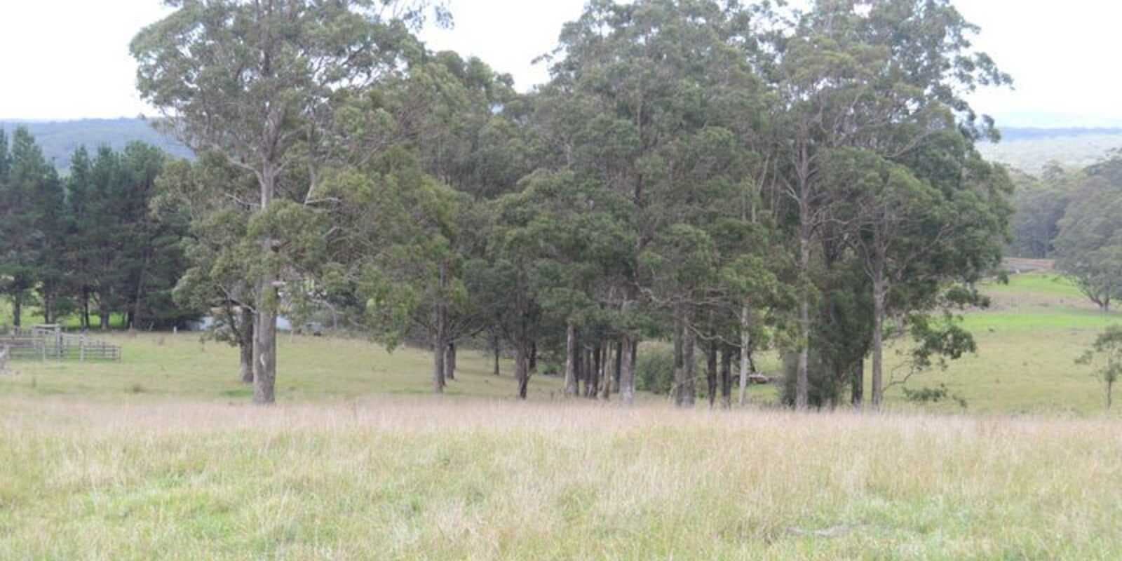 133 Orfords Lane East Kangaloon, Kangaloon - Thumbnail 3