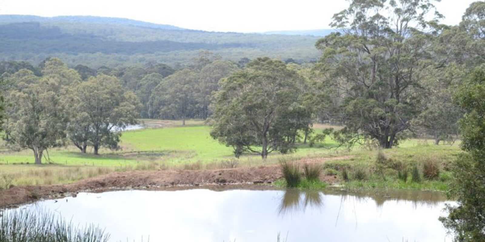 133 Orfords Lane East Kangaloon, Kangaloon - Thumbnail 5