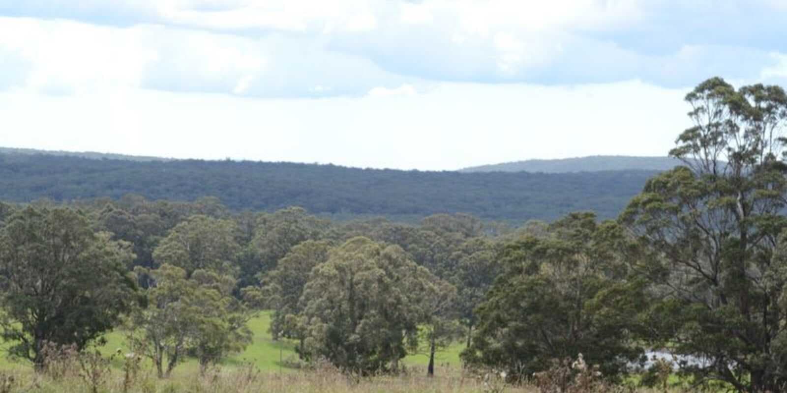 133 Orfords Lane East Kangaloon, Kangaloon - Thumbnail 6