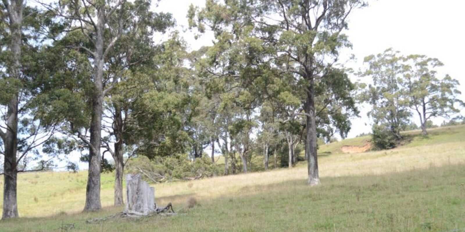 133 Orfords Lane East Kangaloon, Kangaloon - Thumbnail 7