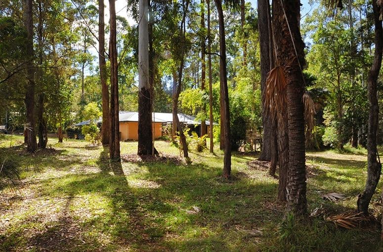 38 Nylana Way, DOONAN QLD 4562, Doonan - Thumbnail 2