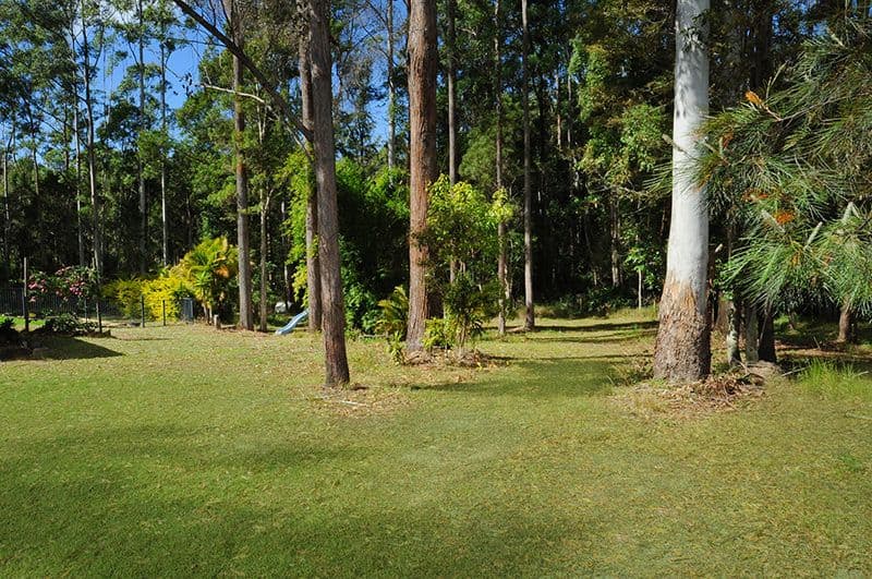 38 Nylana Way, DOONAN QLD 4562, Doonan - Thumbnail 4