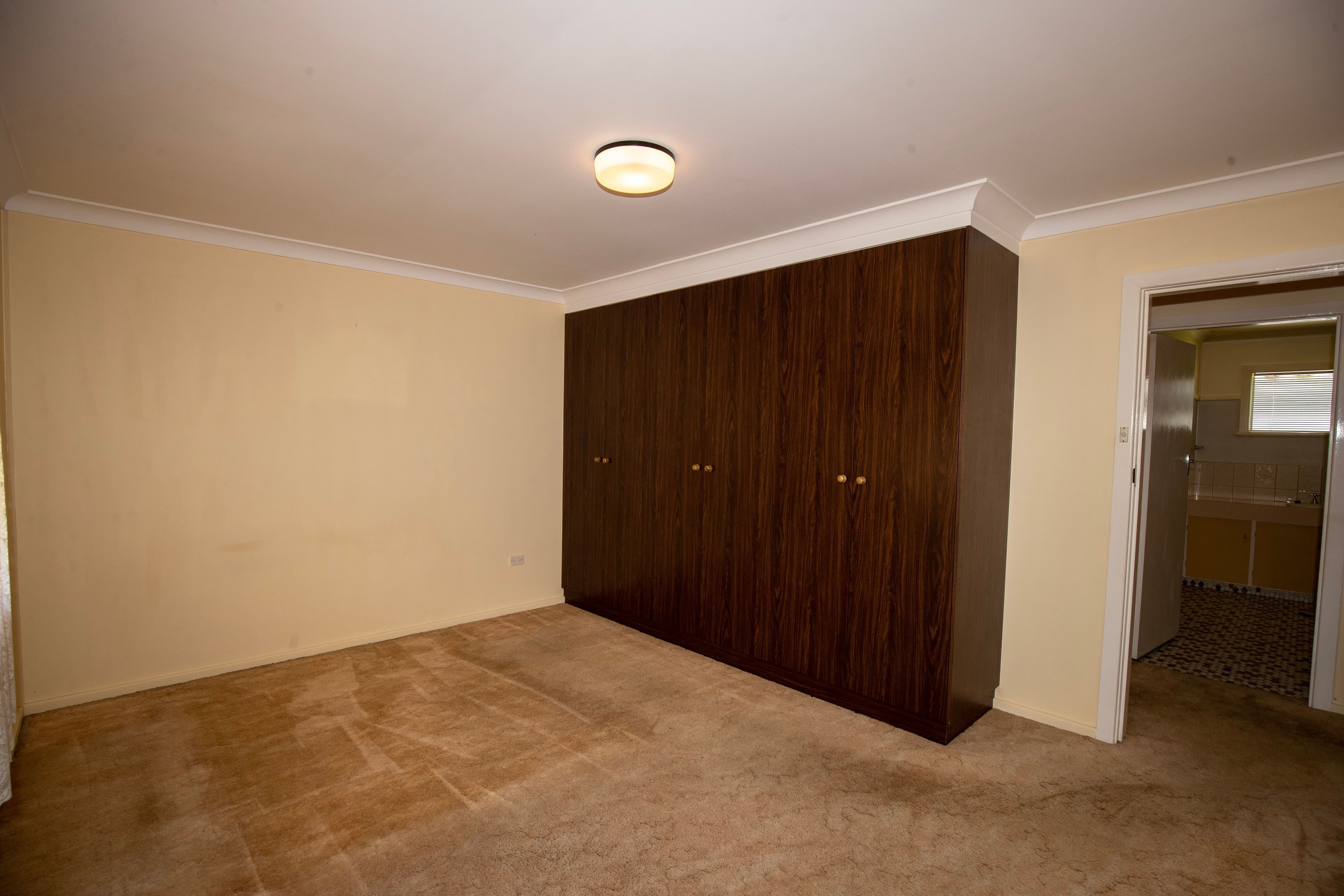 113 BECKWITH Street, Wagga Wagga, Wagga Wagga - Thumbnail 5