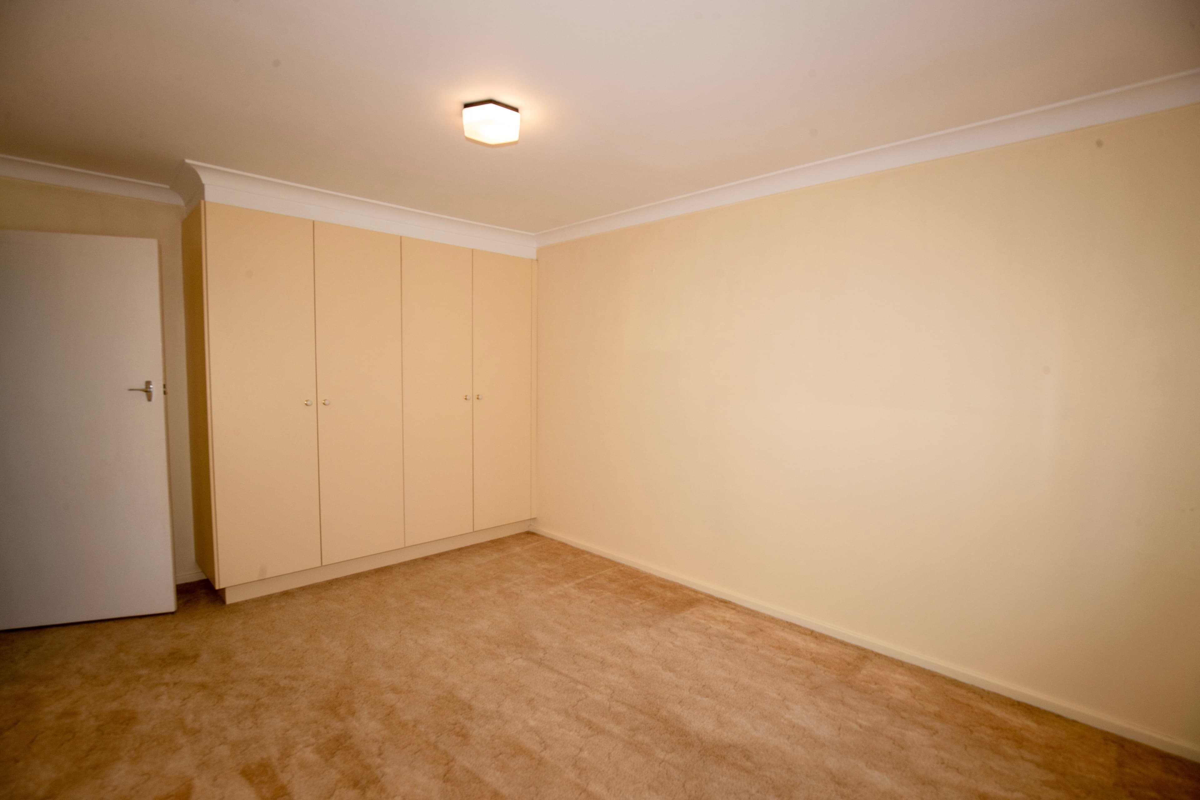 113 BECKWITH Street, Wagga Wagga, Wagga Wagga - Thumbnail 6