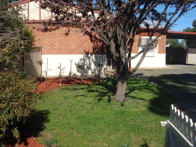 20 Charford Street, ELIZABETH NORTH SA 5113, Elizabeth North - Thumbnail 3