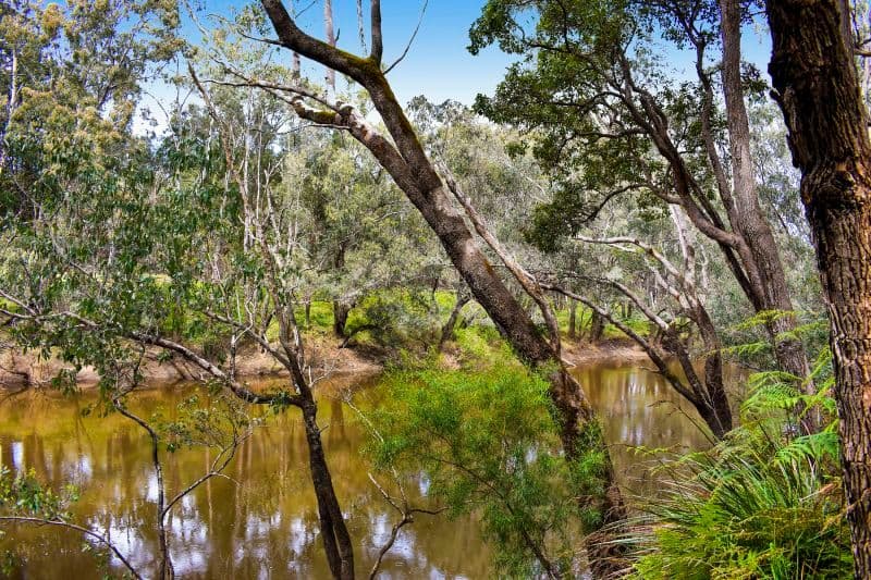 101 Denny Road, Nannup WA 6275, Nannup - Thumbnail 2