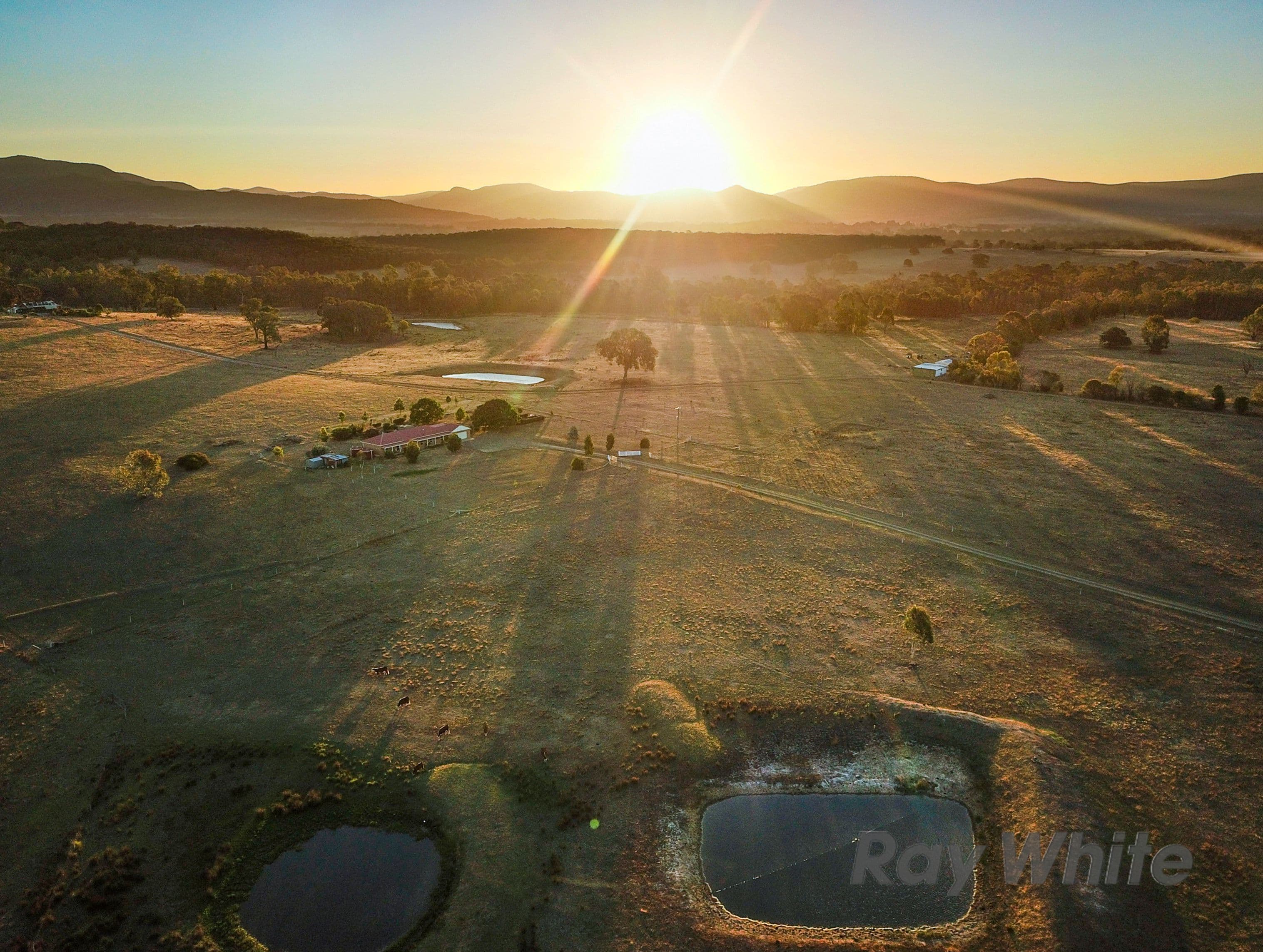 384 Swanpool Road, Swanpool, BENALLA VIC 3673, Benalla - Thumbnail 2