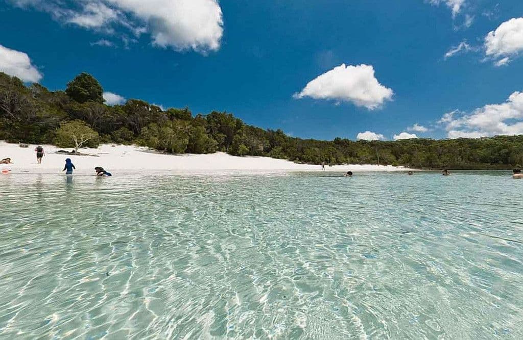 13 Eastern Forest, Kingfisher Bay, Fraser Island QLD 4581, Fraser Island - Thumbnail 2