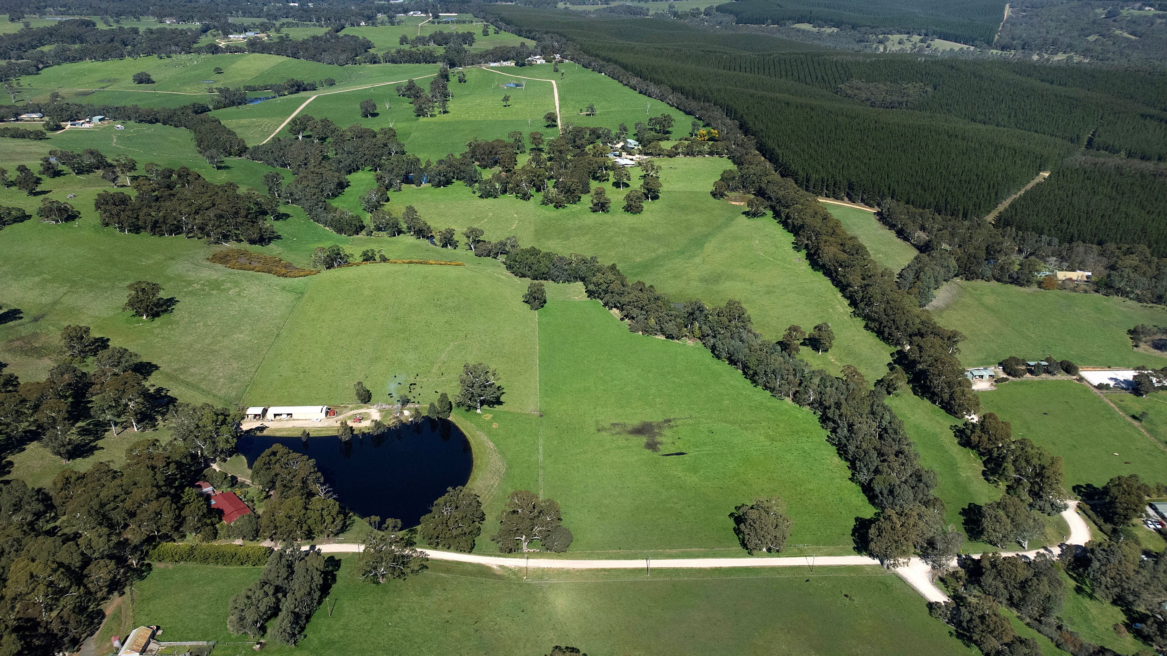 193 McHenery Road, Jupiter Creek SA 5153, Jupiter Creek - Thumbnail 4