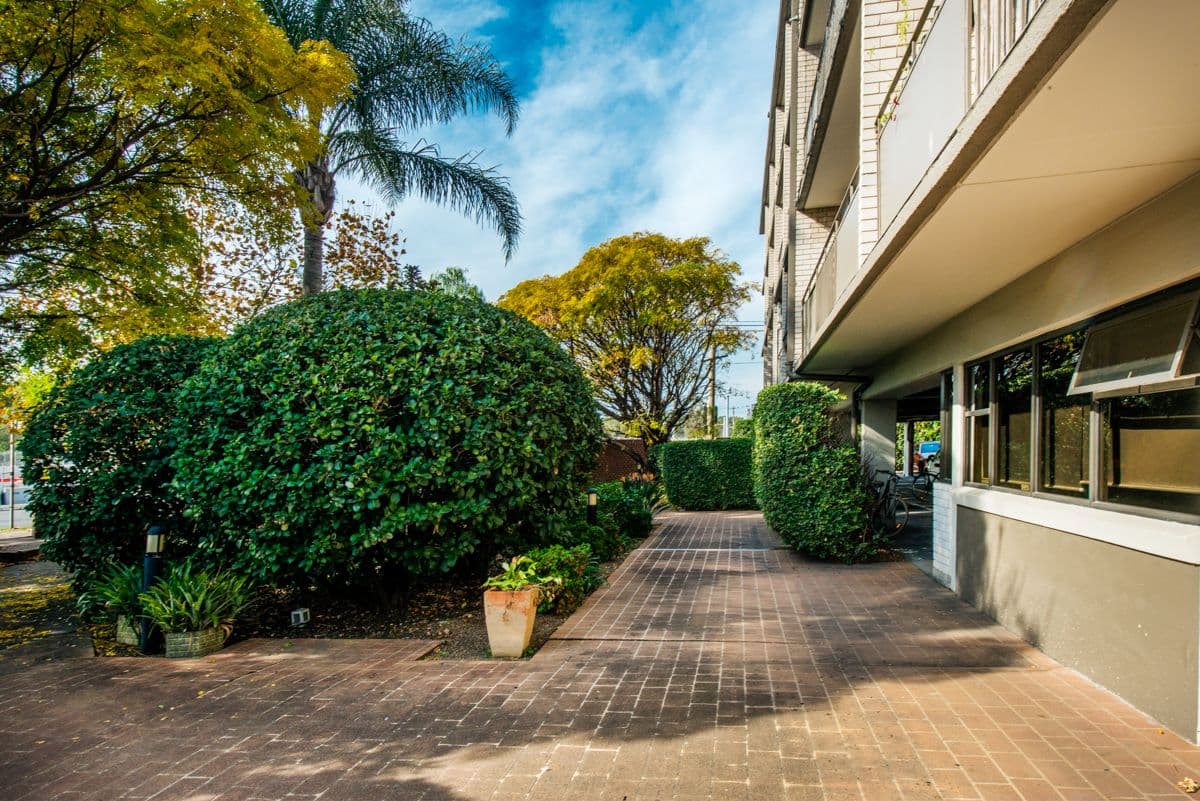 35 Alison Road, Kensington NSW 2033, Kensington - Thumbnail 6