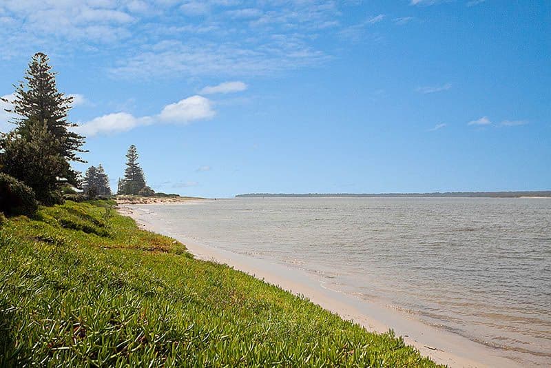60  Tuffy Avenue, SANS SOUCI NSW 2219, Sans Souci - Thumbnail 6