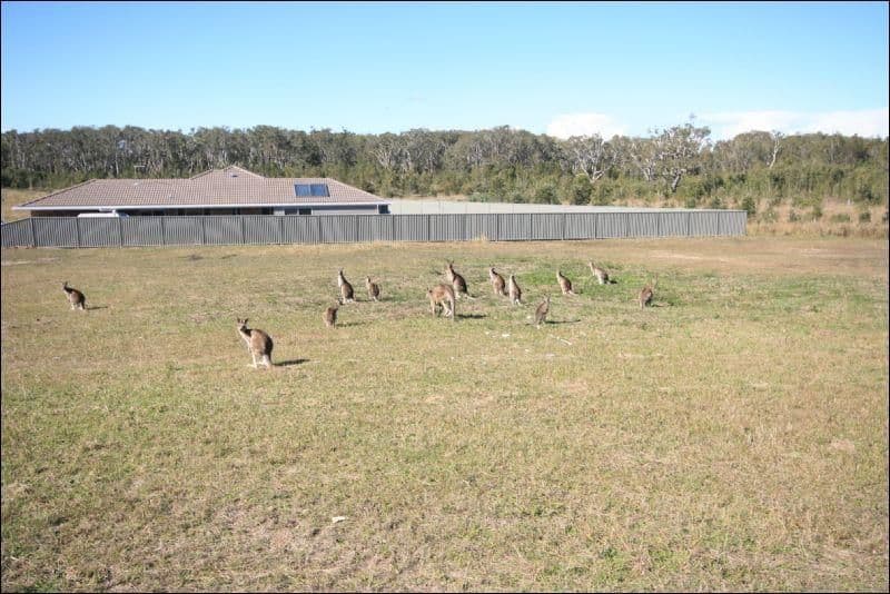 L52 Tasman Crescent, CORINDI BEACH NSW 2456, Corindi Beach - Thumbnail 2