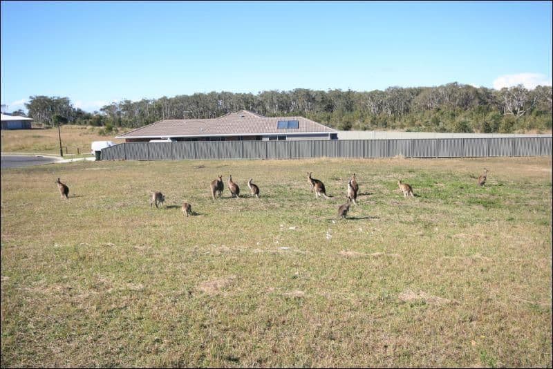 L52 Tasman Crescent, CORINDI BEACH NSW 2456, Corindi Beach - Thumbnail 3