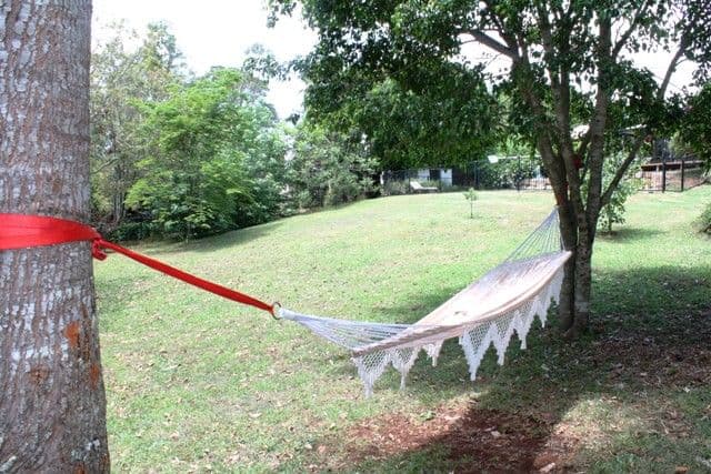 10-12 Shiloh Drive, TAMBORINE MOUNTAIN QLD 4272, Tamborine Mountain - Image 1