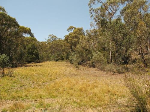 260 Old Mill Road, FORBES CREEK NSW 2621, Forbes Creek - Thumbnail 3