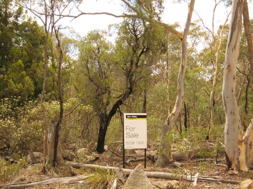 260 Old Mill Road, FORBES CREEK NSW 2621, Forbes Creek - Thumbnail 6