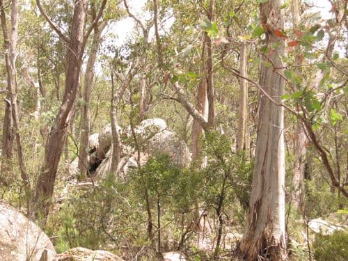 260 Old Mill Road, FORBES CREEK NSW 2621, Forbes Creek - Thumbnail 7