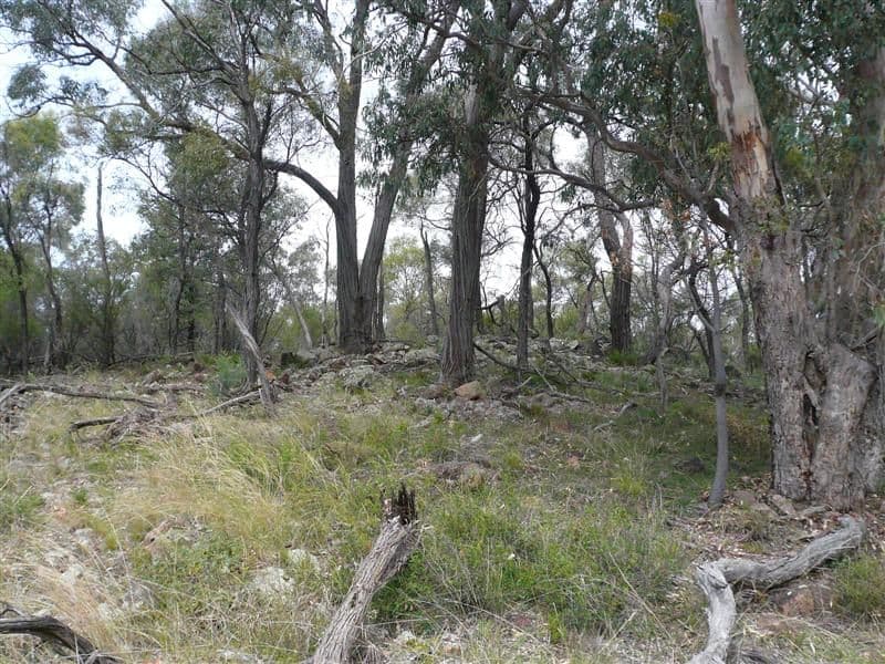385R Obley Road, DUBBO NSW 2830, Dubbo - Image 1