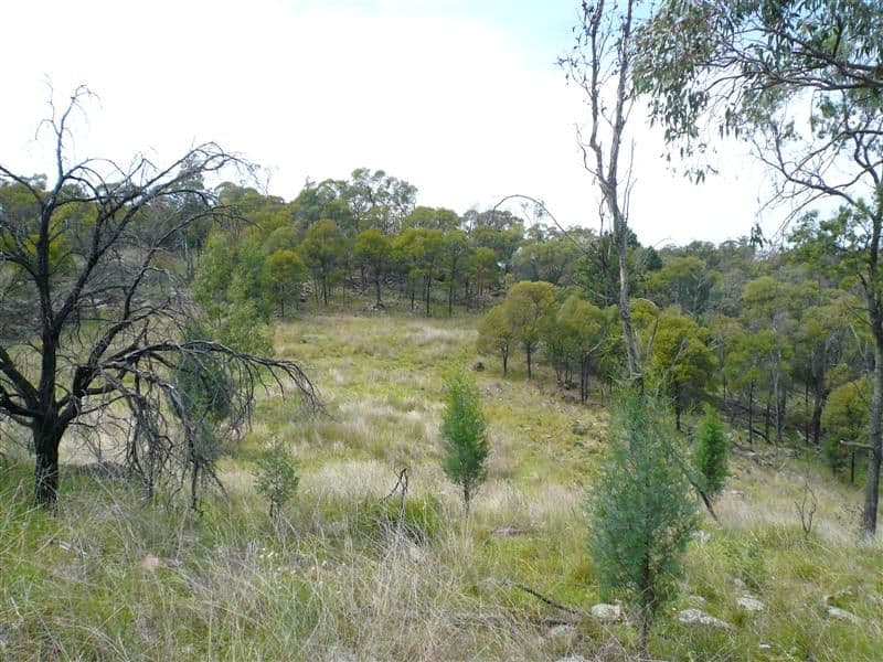 385R Obley Road, DUBBO NSW 2830, Dubbo - Thumbnail 2