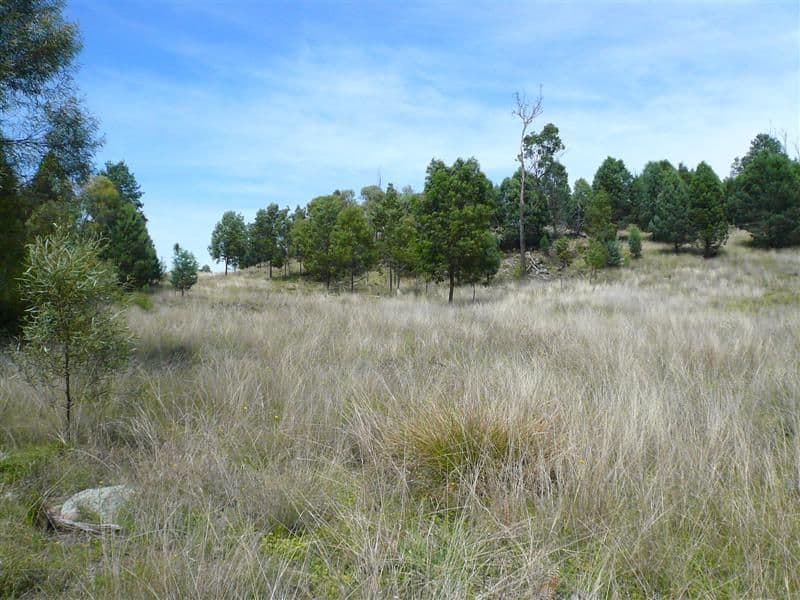 385R Obley Road, DUBBO NSW 2830, Dubbo - Thumbnail 4