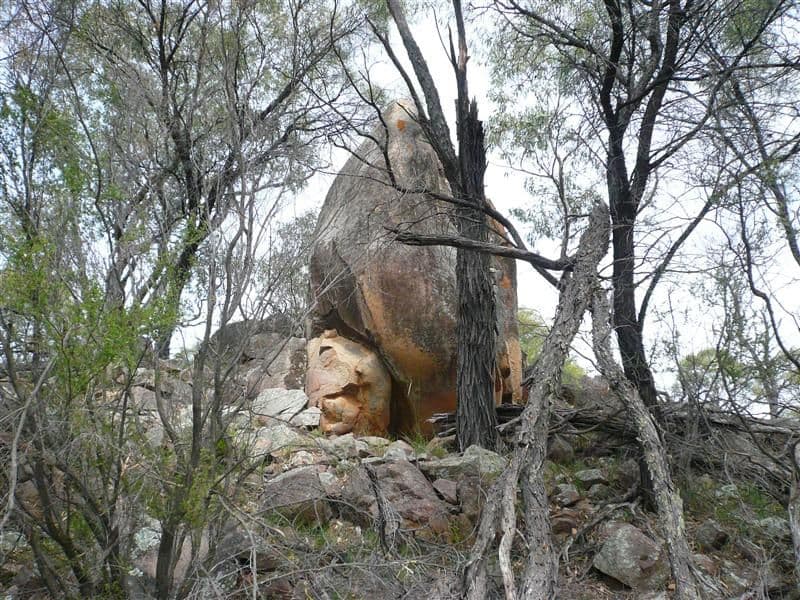 385R Obley Road, DUBBO NSW 2830, Dubbo - Thumbnail 5