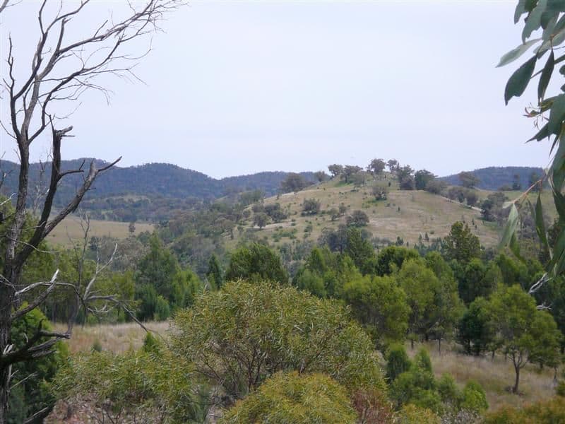 385R Obley Road, DUBBO NSW 2830, Dubbo - Thumbnail 6