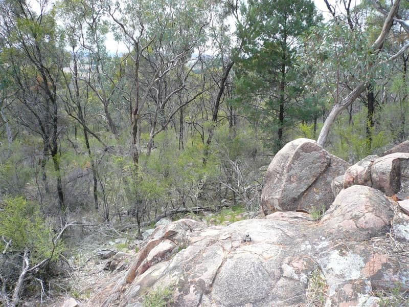 385R Obley Road, DUBBO NSW 2830, Dubbo - Thumbnail 7